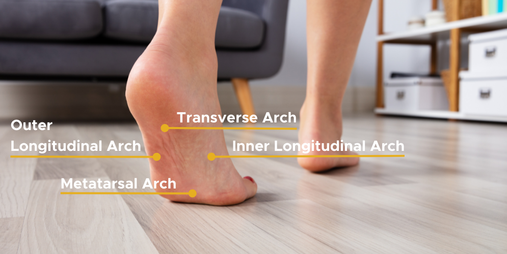 Most Likely Causes Of Pain In The Foot Arch Symptoms Treatments — Feet ...